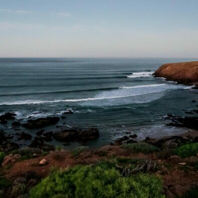 Surfari 10