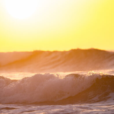 Surfari Marocco
