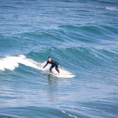 Surfari 22