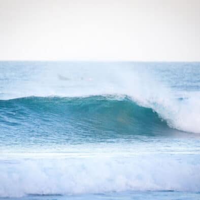 Surfari 24
