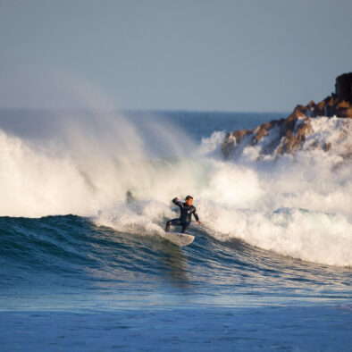 Surfari 25