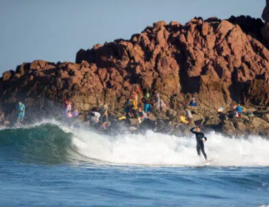 Surfari 26