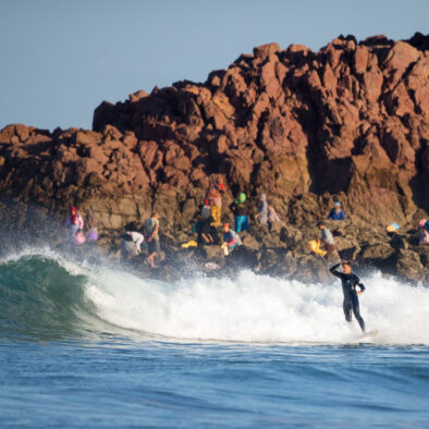Surfari 26