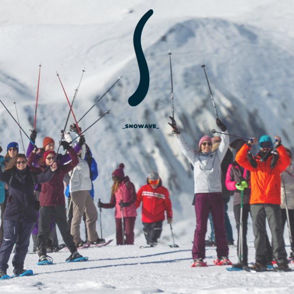 Team building Snowave