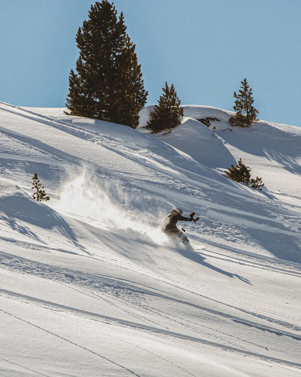 Catskiing Freeride Georgia Bakhmaro