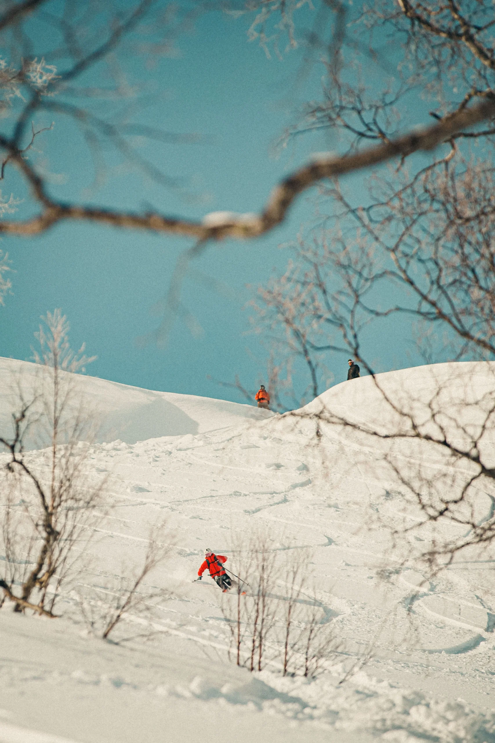Freeride Georgia Bakhmaro