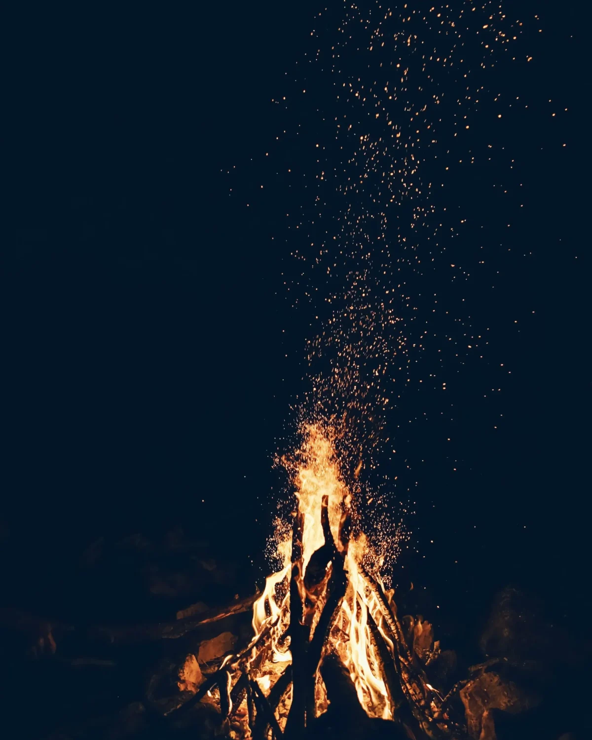 toa-heftiba-DUXACn8tgp4-unsplash 2